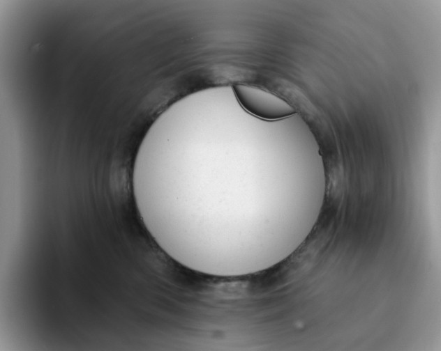 X0000093210426200710171344