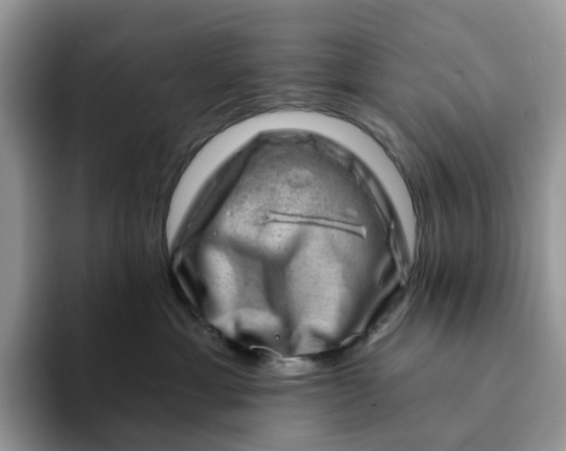 X0000093210429200710171344