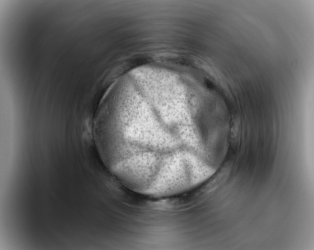 X0000093210430200710171344