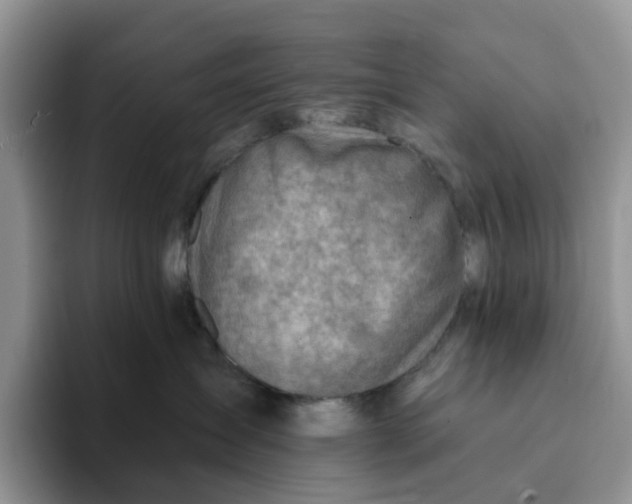 X0000093210431200710171344