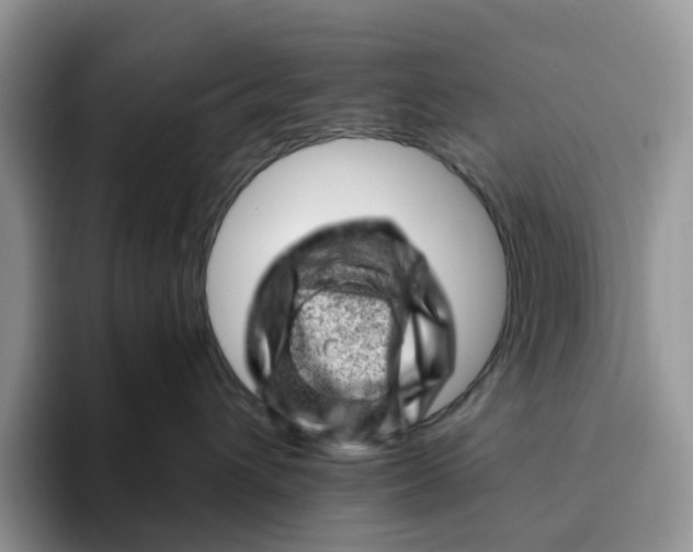 X0000093210432200710171344