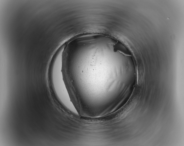 X0000093210435200710171344