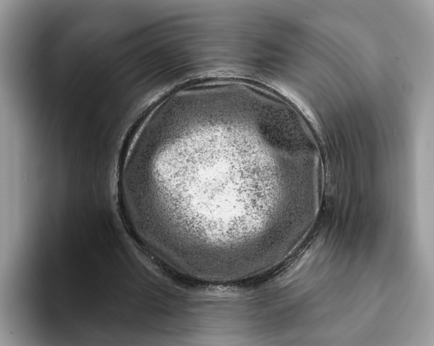 X0000093210437200710171344