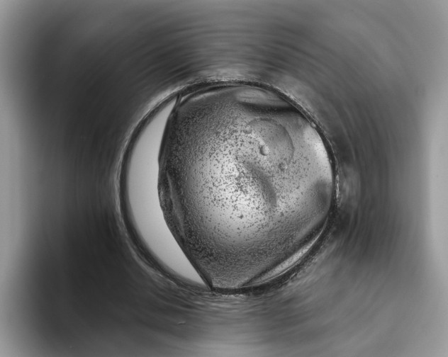 X0000093210438200710171344