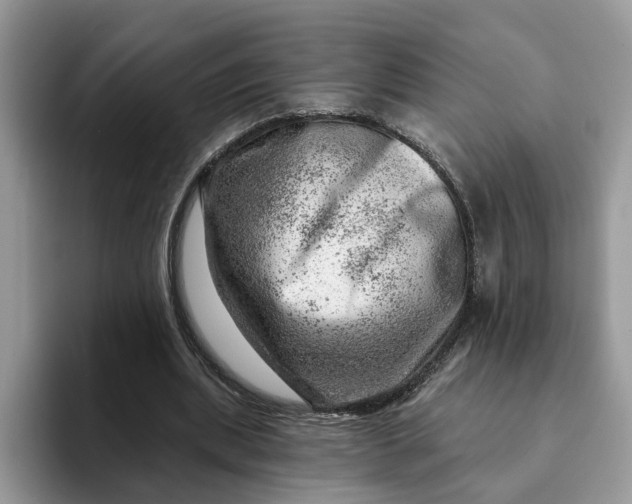 X0000093210439200710171344