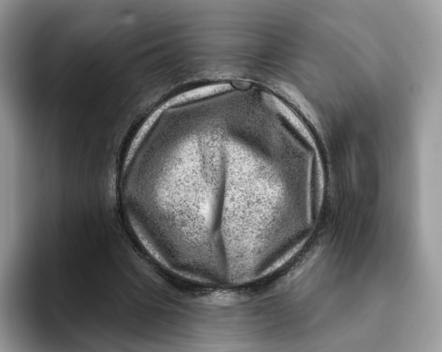 X0000093210441200710171344