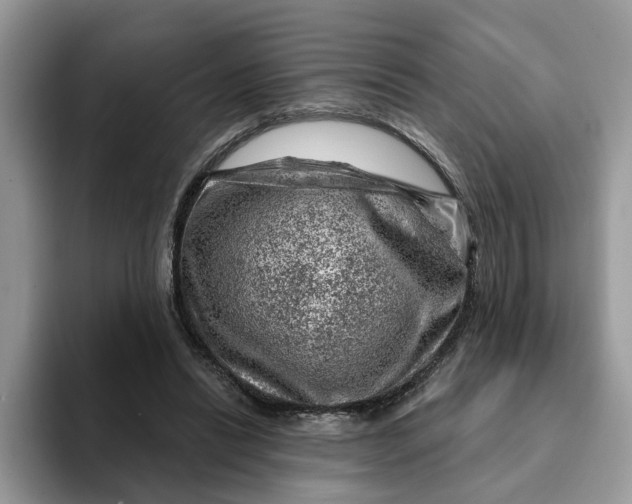 X0000093210446200710171344