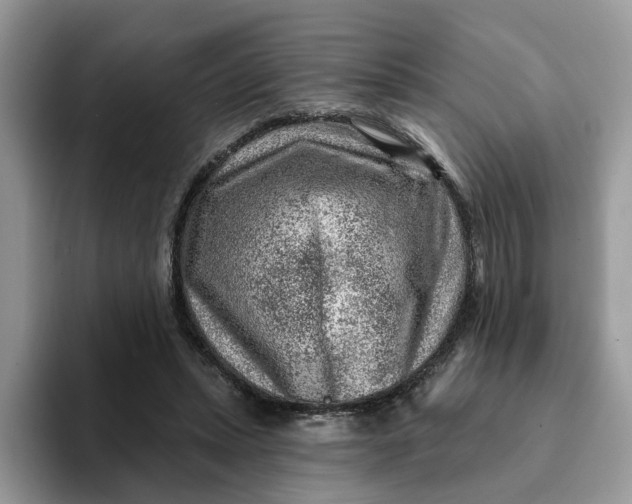 X0000093210447200710171344