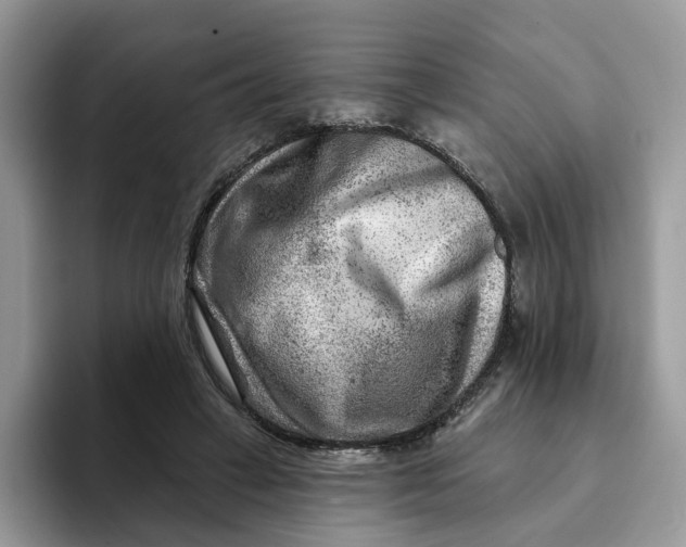 X0000093210449200710171344