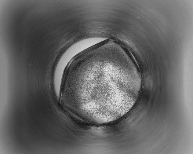 X0000093210450200710171344