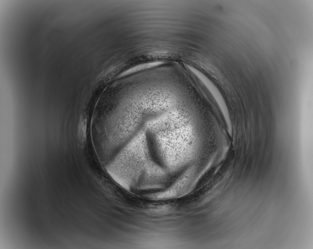 X0000093210454200710171344