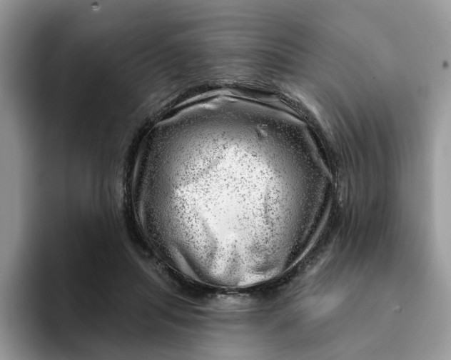 X0000093210455200710171344