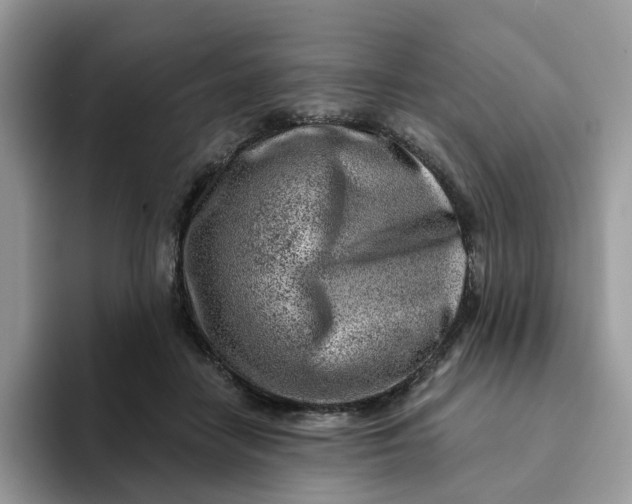 X0000093210458200710171344