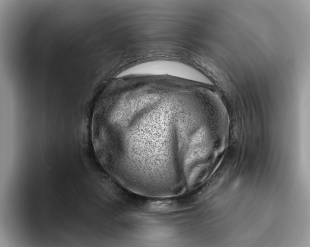 X0000093210461200710171344