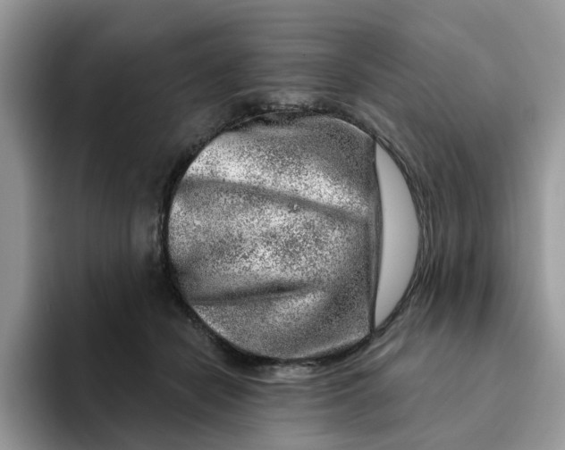 X0000093210462200710171344