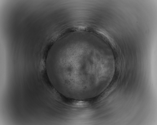 X0000093210467200710171344