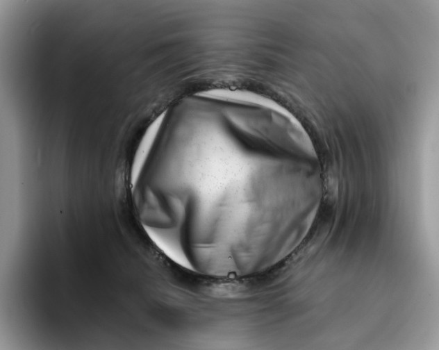 X0000093210468200710171344