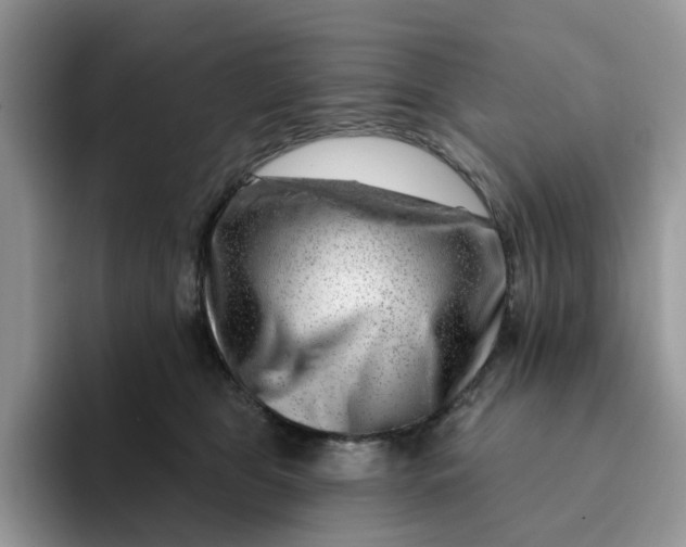 X0000093210469200710171344