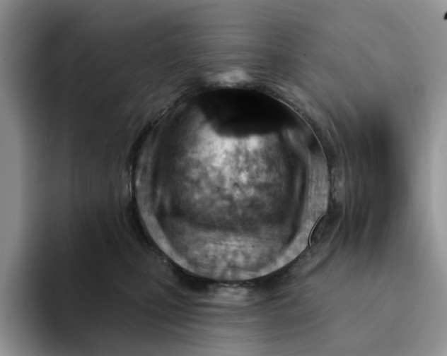 X0000093210471200710171344