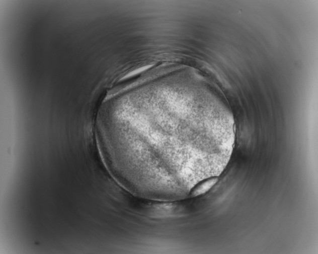 X0000093210473200710171344