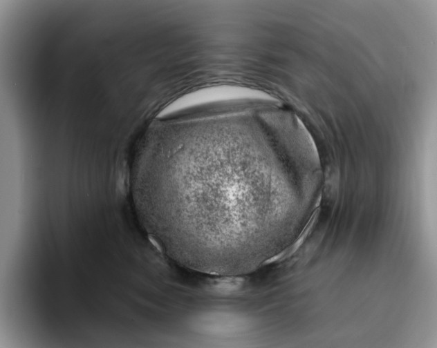 X0000093210474200710171344