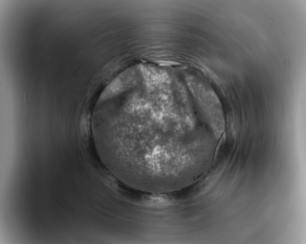 X0000093210475200710171344