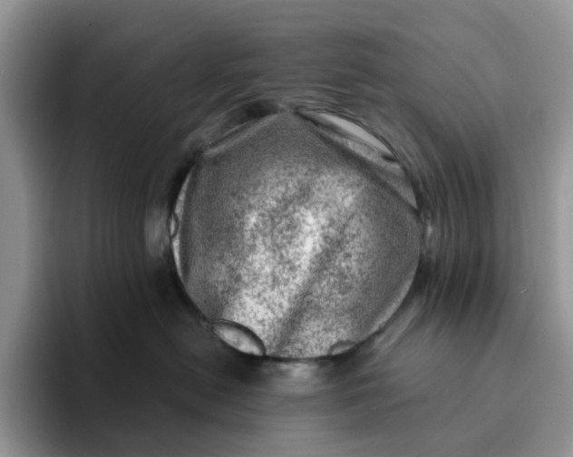 X0000093210478200710171344