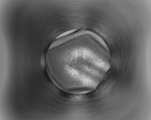 X0000093210479200710171344