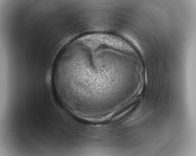 X0000093210483200710171344