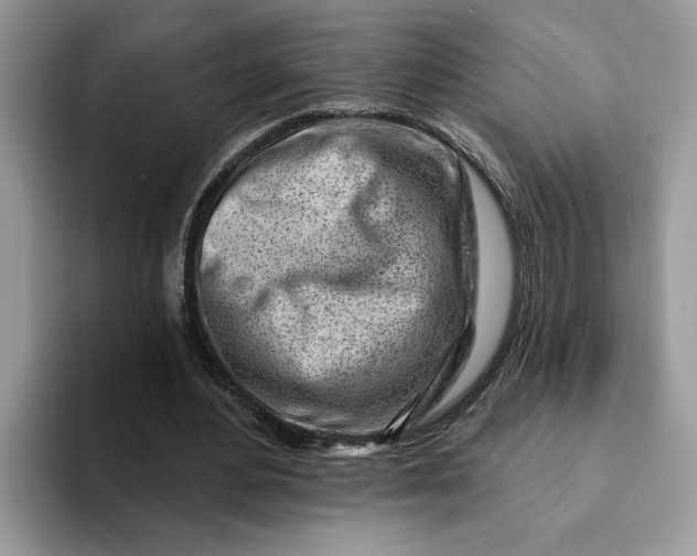 X0000093210484200710171344