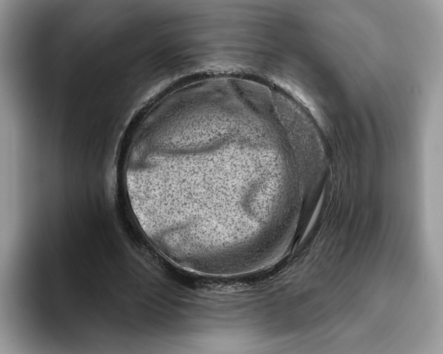 X0000093210488200710171344