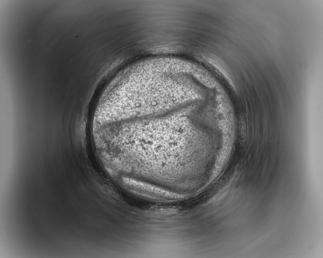 X0000093210491200710171344