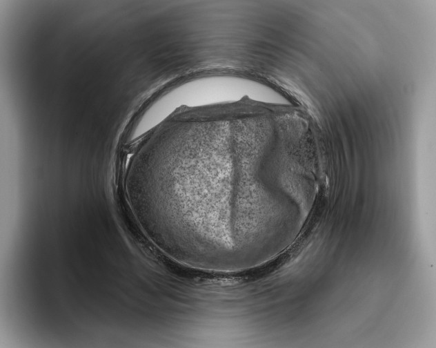 X0000093210492200710171344