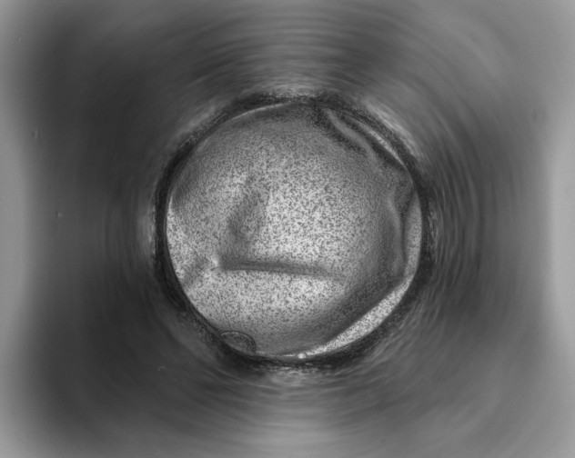 X0000093210494200710171344