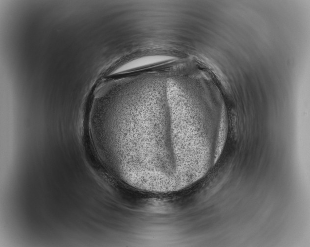 X0000093210496200710171344