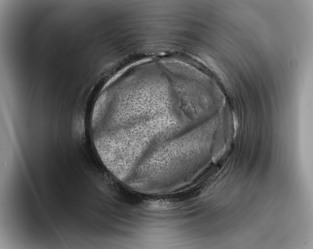 X0000093210500200710171344