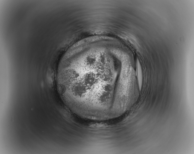 X0000093210503200710171344