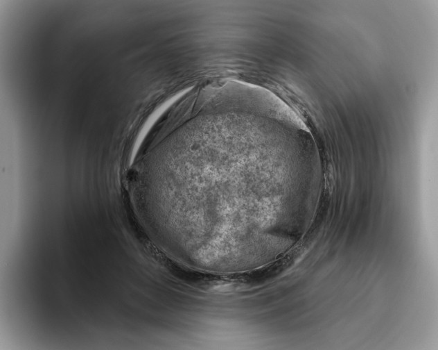 X0000093210504200710171344