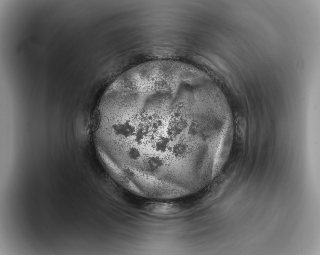 X0000093210507200710171344