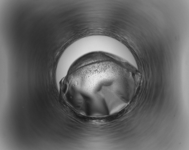 X0000093210508200710171343