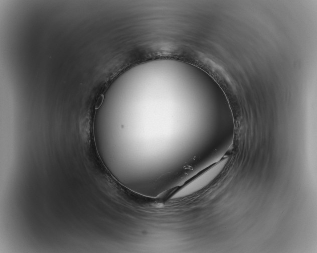 X0000093210509200710171343