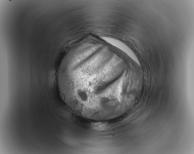 X0000093210511200710171343