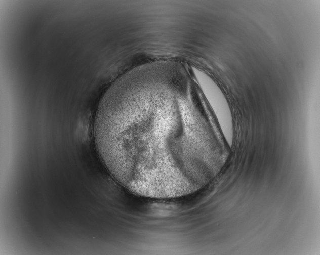 X0000093210515200710171343