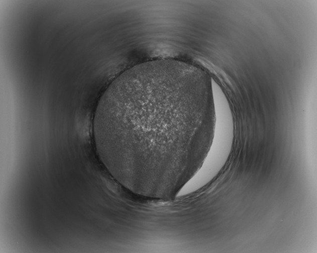 X0000093210517200710171343