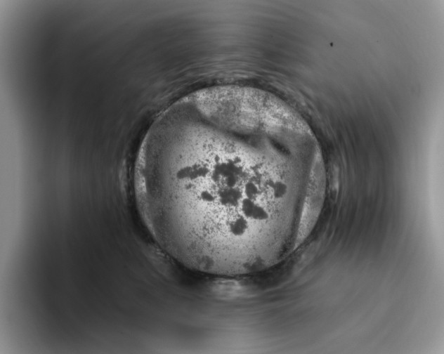 X0000093210519200710171343