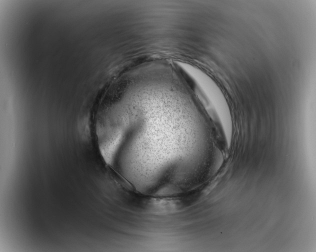 X0000093210520200710171343