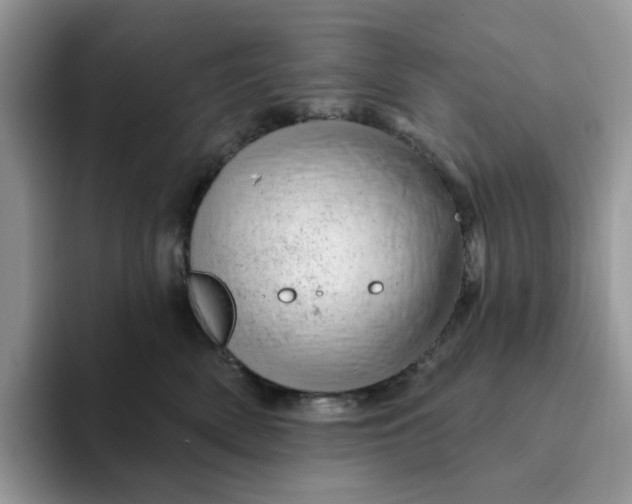 X0000093210522200710171343