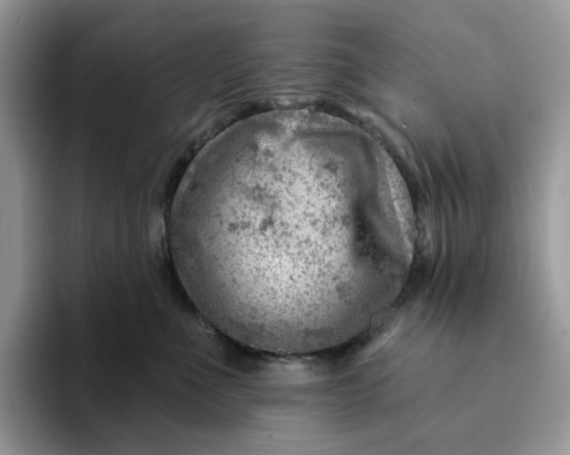 X0000093210523200710171343