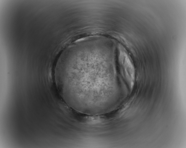 X0000093210524200710171343