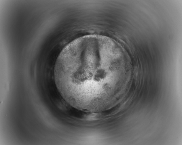 X0000093210527200710171343